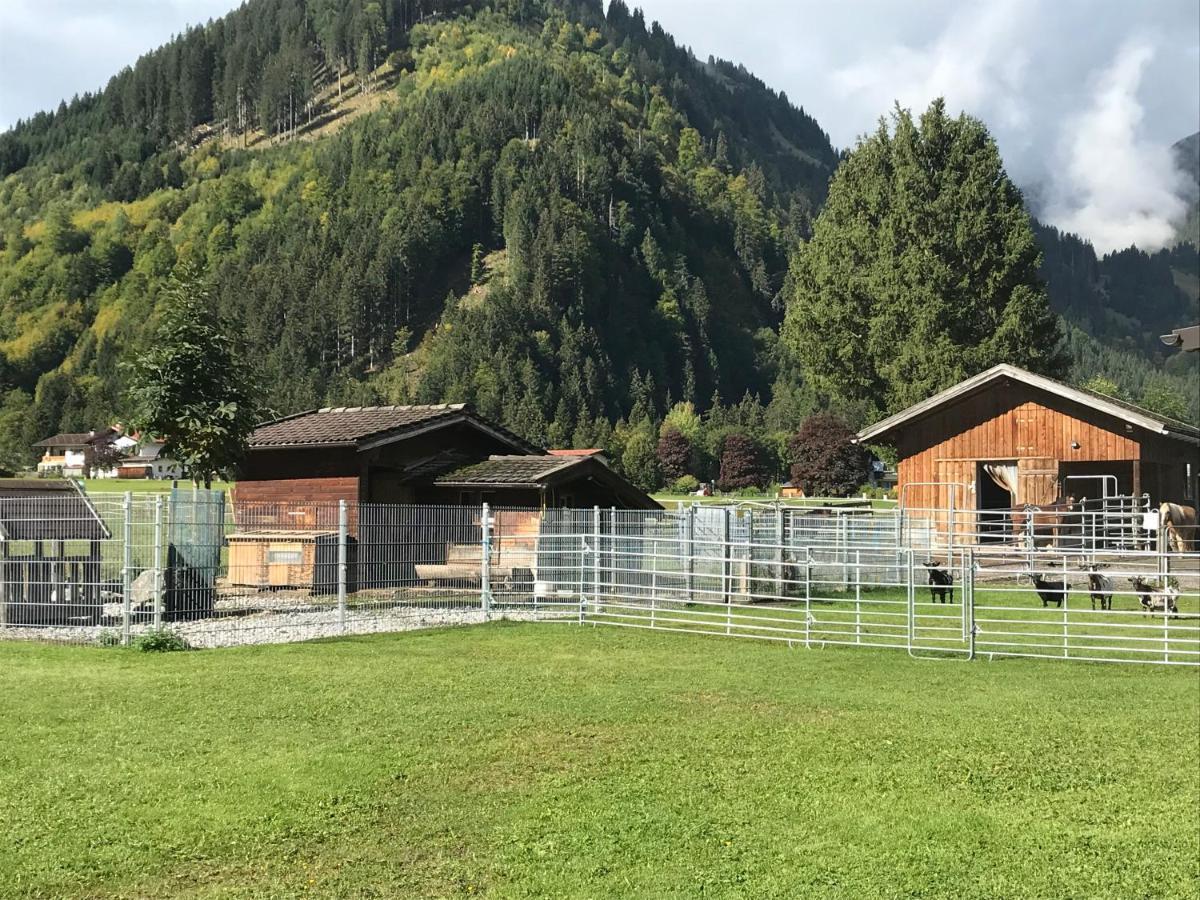 Apartament Pony-Ziegen-Hasen-Ranch Bichlbach Zewnętrze zdjęcie