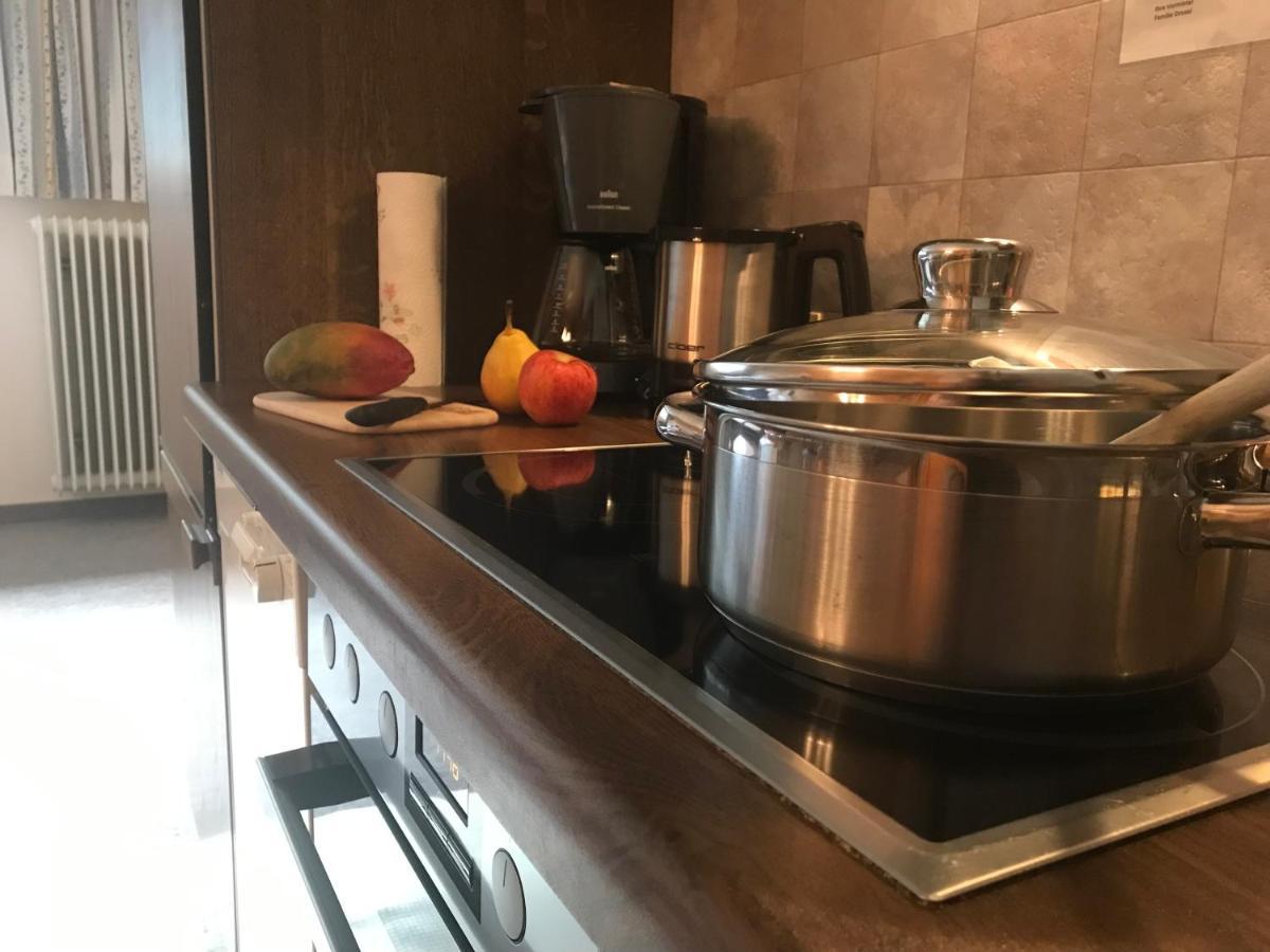 Apartament Pony-Ziegen-Hasen-Ranch Bichlbach Zewnętrze zdjęcie