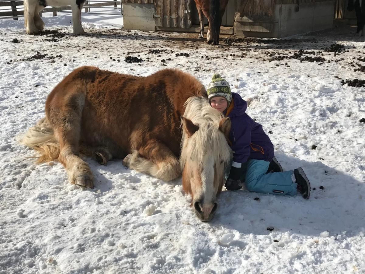 Apartament Pony-Ziegen-Hasen-Ranch Bichlbach Zewnętrze zdjęcie