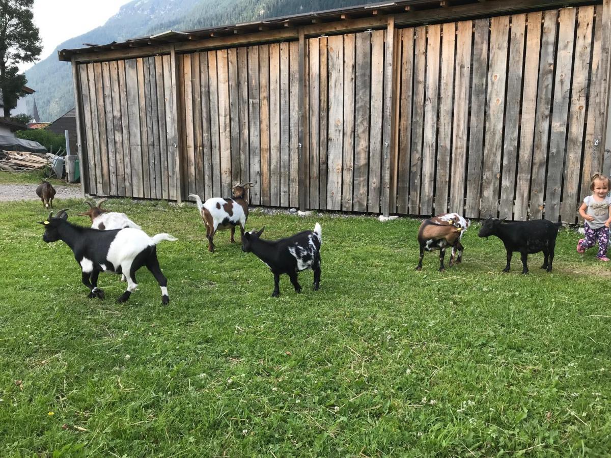 Apartament Pony-Ziegen-Hasen-Ranch Bichlbach Zewnętrze zdjęcie