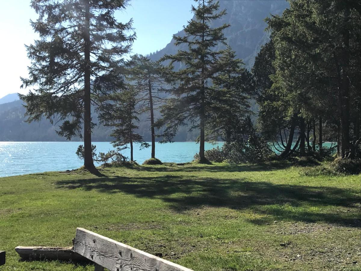 Apartament Pony-Ziegen-Hasen-Ranch Bichlbach Zewnętrze zdjęcie